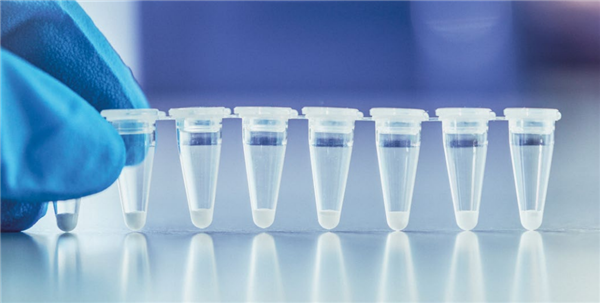 Jena Bioscience.png