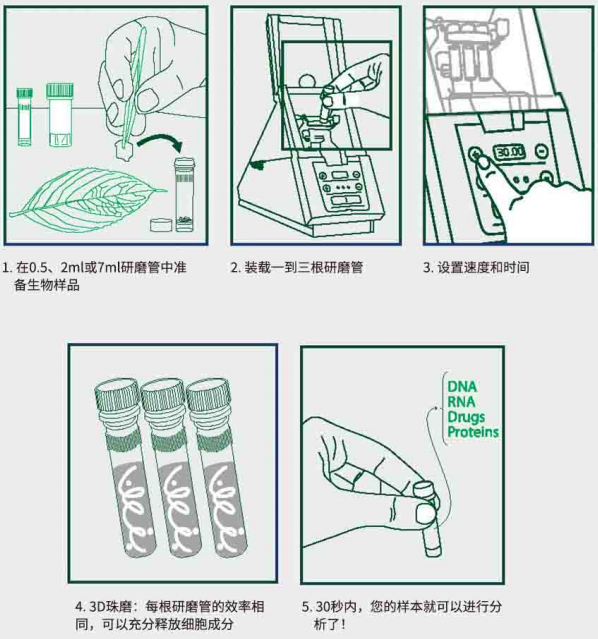 MINILYSO生物样品研磨器